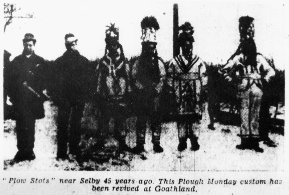 Plow Stots from Selby, Workshire