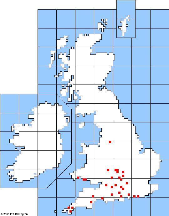 Distribution of Father Christmas in English Folk Plays