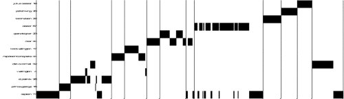 Huddleston's - Play Structure